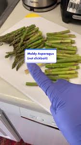 Image result for Asparagus aspergillus