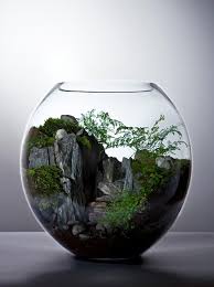 Fancy Design Blog Nz Design Blog Awesome Design From Nz The World Mini Eco Systems Cooler Tha Beautiful Terrariums Miniature Garden Garden Terrarium