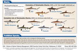 Tampa Bay Fishing Calendar Fishing Charters St Pete Beach
