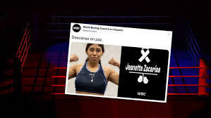 Quebec's public safety minister says a coroner will investigate after mexican boxer jeanette zacarias zapata died following a bout last . Pbpphxjlvlv7jm