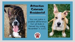 We did not find results for: Update Pit Bulls Will Be On The Voting Ballot In Colorado