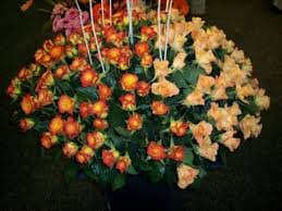 Discrimination in university employment, programs, or activities based on race, color, ethnicity, sex, pregnancy, religion, national origin, disability, age, sexual orientation, gender identity, genetic information, status as a u.s. Roses On Sale 50 Off Roses Orange County Wholesale Flowers Newport Beach Ca