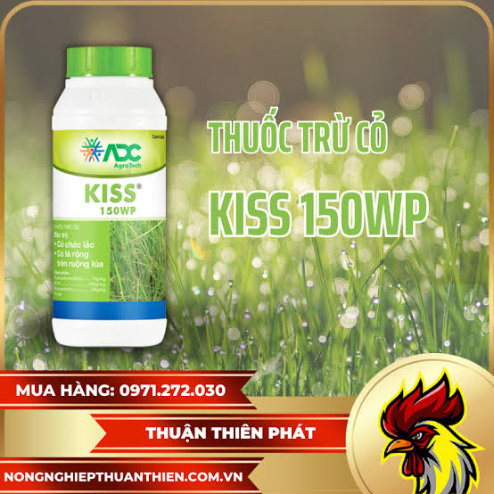 Kiss 150WP