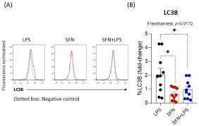 Sulforaphane Reduces Chronic Inflammatory Immune Response of Human  Dendritic Cells[v1]