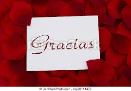 Say thanks with unique cards from zazzle! Thank You Note In Spanish Gracias A White Thank You Card With A Red Rose Pedal Backgrounds Canstock