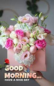 Good morning Flowers Images