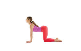 Cat pose and cow pose are different but they are paired together. Marjaryasana Bitilasana Cat Cow Pose Steps Benefits