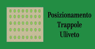 Ecco come fare una trappola per zanzare in casa e con metodi fai da te: Trappole Mosca Dell Olivo Fai Da Te Preparazione E Posizionamento