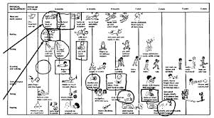 developmental milestone chart jasonkellyphoto co