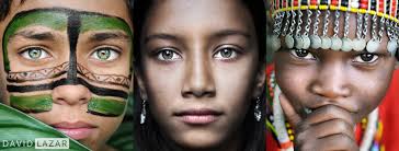 Sabine Stols Wildlife Photography