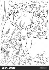 You can use our amazing online tool to color and edit the following kelp forest coloring pages. Pin On Color Pages