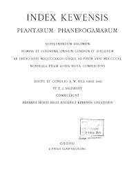 Image result for Pandiaka welwitschii