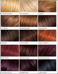 Hair Color Chart Burgendy Hair Loreal Hair Feria Hair