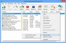 The site grabber feature of internet download manager not only lets you download required files that are specified with filters, for example all pictures. Idm Internet Download Manager 6 31 Free Download Get Into Pc