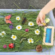 Les Petites Betes Du Printemps Lectures Et Bac Sensoriel Montessori Activities Toddler Activities Preschool Activities