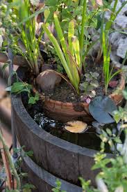 Miniteich Anlegen Fur Die Terrasse Mit Bauanleitung Und Pflanztipps Miniteich Miniteich Anlegen Teich Anlegen