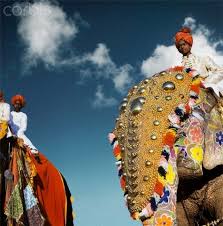 Well Dressed Elephants Photo Indian Elephant Elephant