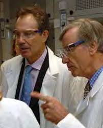 The world's biggest experiment