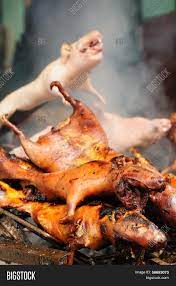 So they deliver the guinea pig whole only so that you can take your pictures. Roasted Guinea Pigs Image Photo Free Trial Bigstock