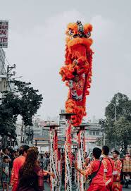 We did not find results for: Lion Dance Pictures Download Free Images On Unsplash