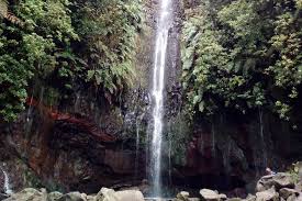 We did not find results for: Rabacal Levada Do Risco And 25 Fountains Waterfalls With Private Guide 2021 Funchal