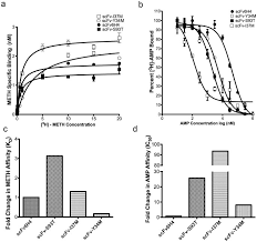 Should i just add a few crystals to the bottle menthol works pretty similar to how spicy foods work, and i believe that the tolerance exists the same way. Affinity Improvement Of A Therapeutic Antibody To Methamphetamine And Amphetamine Through Structure Based Antibody Engineering Scientific Reports