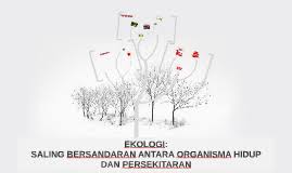 We did not find results for: Ekologi Saling Bersandaran Antara Organisma Hidup Dan Persekitaran By Wan Ahmad Azimi Bin Wan Azmin