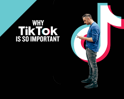 Download and manage iphone music without itunes. Why The Tiktok Formerly Musical Ly App Is So Important Garyvaynerchuk Com