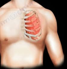 Image result for Flail Chest