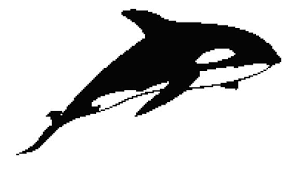 We did not find results for: Killer Whale Counted Cross Stitch Pattern Orca Outline Pixel Etsy