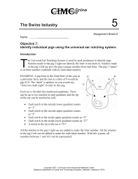 Fun facts about the name noches. Ms Word Form