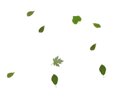 10 free cliparts with gif leaves falling on our hypashield site. Top Leaving Stickers For Android Ios Gfycat