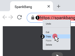 How to Download Videos from SpankBang