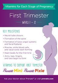 Webmd provides information on popular vitamins and supplements including side effects, drug interactions, user ratings and reviews, medication over dose, warnings, and uses. Prenatal Vitamins For Each Stage Of Pregnancy First Trimester Months 1 To 3 Prenate Vitamin Family
