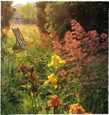 Wild Mediterranean Garden New Perennial Garden Noel Kingsbury Landscape Design Mediterranean Garden Garden Landscape Design