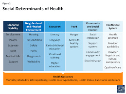 Figure 2 Social Determinants Of Health Public Health Quotes Social Determinants Of Health Health Quotes