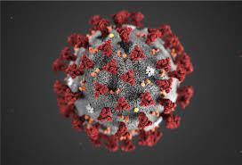 Evolution of hepatitis delta virus rna during chronic infection. Corona Delta Variante Im Landkreis Rotenburg