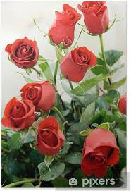 Visualizza altre idee su mazzo di rose, idee, lavoro all'uncinetto. Poster Mazzo Di Rose Rosse Pixers Viviamo Per Il Cambiamento