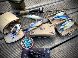 fishing ビッグベイト シーバス