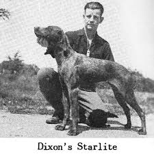 Maybe you would like to learn more about one of these? History National German Shorthaired Pointer Association