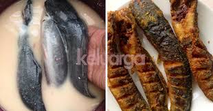 Ikan keli berlada by pak sani fb : Begini Cara Goreng Ikan Keli Supaya Rangup Tak Meletup Tak Hancur Dalam Kuali Wanita Ni Kongsikan Tip Keluarga