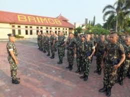 Baju olahraga bhayangkari brimob terbaru. Sejarah Pdl Loreng Brimob Seragam Tentara As Hingga Merebut Dari Belanda