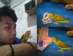 Peternak yang berpengalaman tentu faham betul bagaimana cara beternak lovebird, mulai dari pemilihan induk sampai mengawal proses. Mumpung Libur Panjang Yuk Melatih Ketangkasan Love Bird Vidio Burungnews