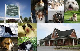 We did not find results for: Beaverton Crossroads Veterinary Services Professional Corporation Opening Hours 1380b Simcoe St Beaverton On