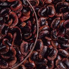 Image result for Phaseolus coccineus