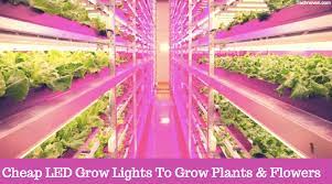 6 5 best affordable led grow lights. 9 Best Cheap Led Grow Lights 2021 Which One Should You Buy