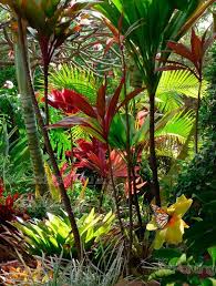 Wall Murals Posters Tropical Garden Artpainting4you Eu Tropical Garden Design Tropical Garden Tropical Landscaping