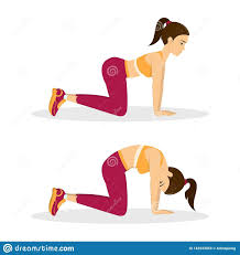 How to do the cat and cow pose. 38 Best Picture Cat Cow Exercise Cat Cow Exercise Cat Cow Pose Cow Pose