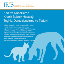Iris In International Renal Interest Mvm Medikal Veteriner Facebook