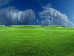 We have a massive amount of desktop and mobile backgrounds. Windows Xp Wallpapers Hd Wallpaper Cave